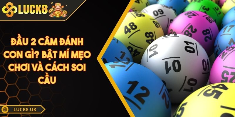 đầu 2 câm đánh con gì