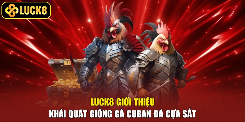 Luck8 giới thiệu khái quát giống gà Cuban đá cựa sắt