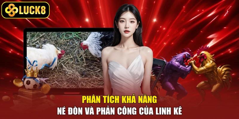 Phân tích khả năng né đòn và phản công của linh kê