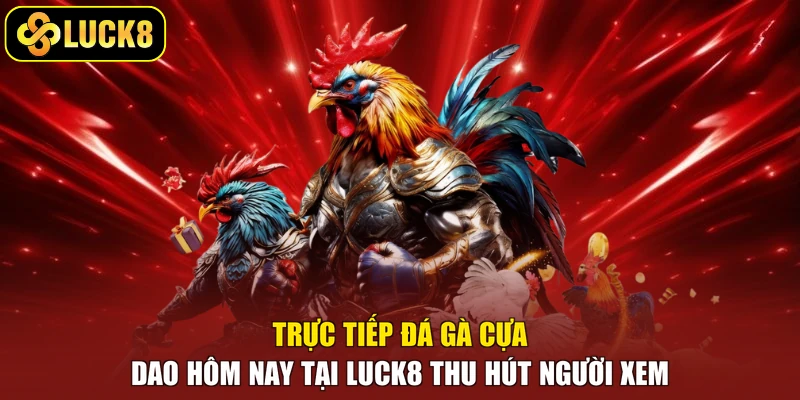 Trực tiếp đá gà cựa dao hôm nay tại Luck8 thu hút người xem